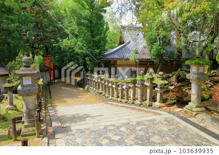 世界遺産春日大社　燈籠と参道 103639935
