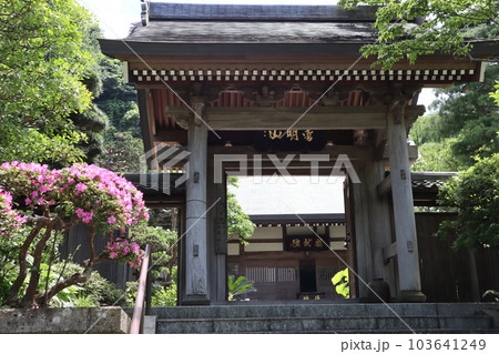 成就院（神奈川県鎌倉市極楽寺1丁目） 103641249