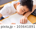 子供の勉強をみる母親 103641891