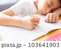 子供の勉強をみる母親 103641903