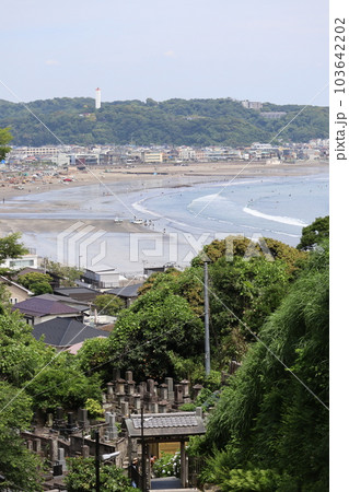 成就院参道から望む由比ヶ浜 103642202