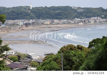 成就院参道から望む由比ヶ浜 103642204