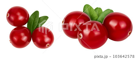 Cranberry with leaves isolated on white background with full depth of field. Top view. Flat lay 103642578