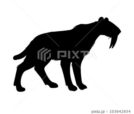 Vector illustration of black silhouette Smilodon, saber toothed tiger, isolated on white background 103642654