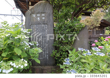 阿仏邸旧蹟 史跡碑(神奈川県鎌倉市極楽寺3丁目) 阿仏邸旧蹟 史跡碑(神奈川県鎌倉市極楽寺3丁目) 103643201