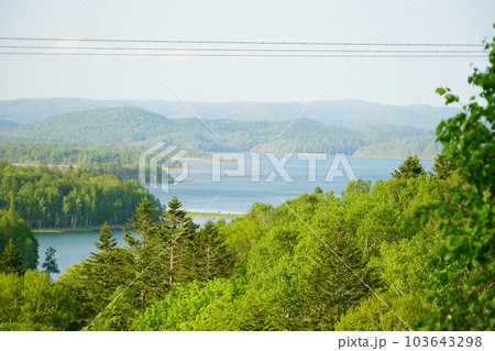 北海道幌加内町　朱鞠内湖　新緑の朱鞠内湖　 103643298