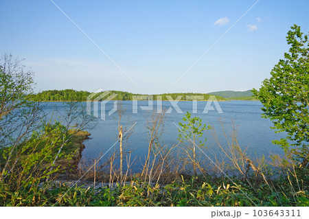 北海道幌加内町　朱鞠内湖　新緑の朱鞠内湖　 103643311