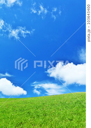 爽やかな夏の青空と新緑の草原 103643400
