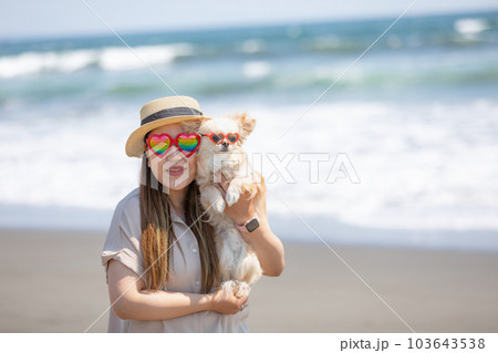 海で遊ぶチワワと飼い主 103643538