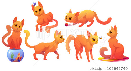 Vector cartoon cat character pose illustration set 103643740