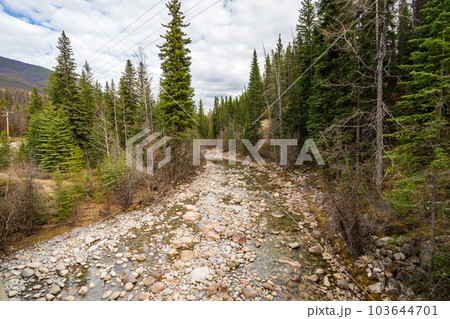 Maligne River in summer. Jasper National Park. Alberta, Canada. 103644701