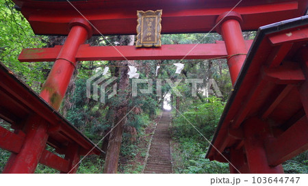 藤武神社鳥居 藤武神社鳥居 103644747