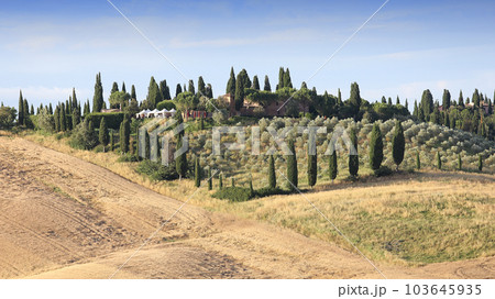 Crete Senesi, siena, tuscany, italy 103645935