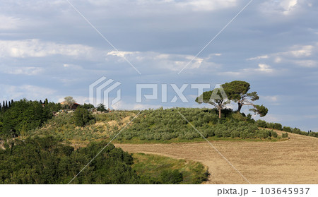 Crete Senesi, siena, tuscany, italy 103645937