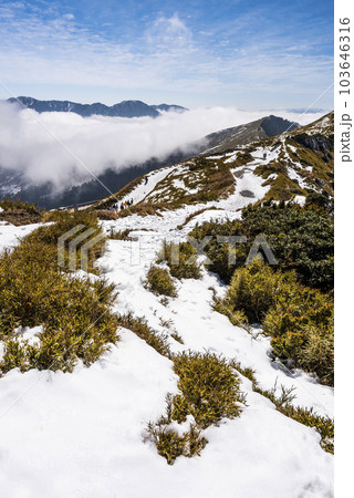 The snow covered most of the mountains and forests in Hehuanshan National Forest Recreation Area, Nantou, Taiwan. Located in Taroko National Park. The snow covered most of the mountains and forests in Hehuanshan National Forest Recreation Area, Nantou, Taiwan. Located in Taroko National Park. 103646316
