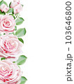 light pink roses blooming border frame 103646800