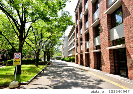 西南学院大学 西南大キャンパス 福岡市早良区西新6丁目 西南学院大学 西南大キャンパス 福岡市早良区西新6丁目 103646947