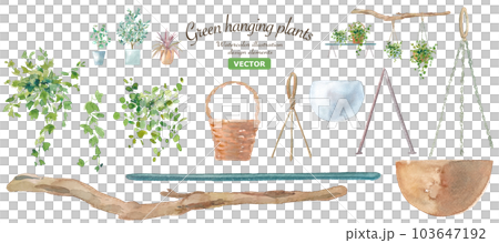 藤本植物和吊籃的水彩插圖。協調植物和園藝用品。向量 103647192