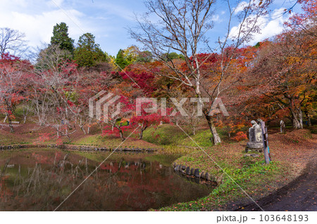 紅葉に映える用作公園(ゆうじゃくこうえん)紅葉と池に映り込む風景 「大分県豊後大野市」 紅葉に映える用作公園(ゆうじゃくこうえん)紅葉と池に映り込む風景 「大分県豊後大野市」 103648193