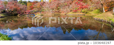 紅葉に映える用作公園(ゆうじゃくこうえん)池に紅葉が映り込むパノラマ風景 「大分県豊後大野市」 紅葉に映える用作公園(ゆうじゃくこうえん)池に紅葉が映り込むパノラマ風景 「大分県豊後大野市」 103648197