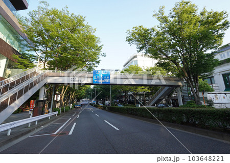 表参道の神宮前歩道橋(東京都渋谷区) 表参道の神宮前歩道橋(東京都渋谷区) 103648221