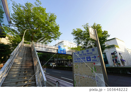 表参道の神宮前歩道橋（東京都渋谷区） 103648222