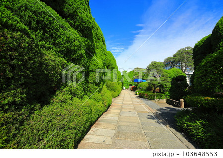 【岡山県】晴天の倉敷美観地区（倉敷アイビースクエア） 103648553