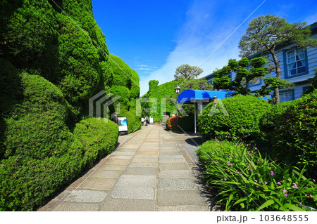 【岡山県】晴天の倉敷美観地区（倉敷アイビースクエア） 103648555