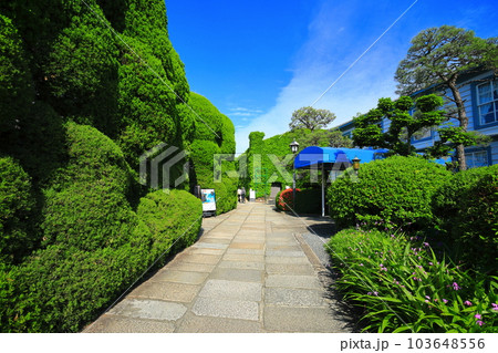 【岡山県】晴天の倉敷美観地区(倉敷アイビースクエア) 【岡山県】晴天の倉敷美観地区(倉敷アイビースクエア) 103648556