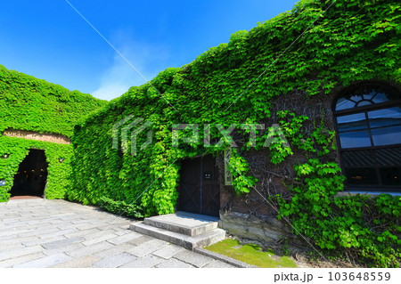 【岡山県】晴天の倉敷美観地区（倉敷アイビースクエア） 103648559