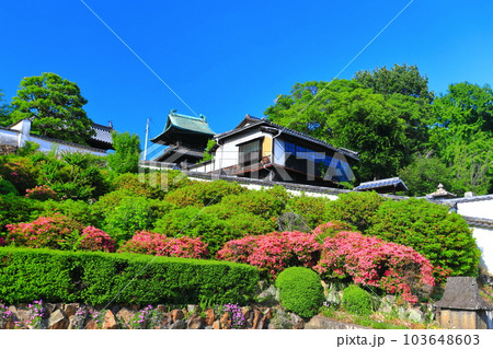 【岡山県】晴天の倉敷美観地区(本栄寺) 【岡山県】晴天の倉敷美観地区(本栄寺) 103648603