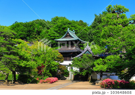 【岡山県】晴天の倉敷美観地区(本栄寺) 【岡山県】晴天の倉敷美観地区(本栄寺) 103648608