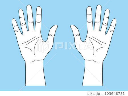 Two palm hand vector on isolated. Illustration about Human body part. Stock  Vector