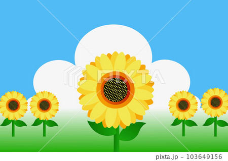 夏の終り 夏の終り 103649156