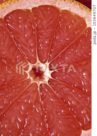 カットしたグレープフルーツの断面のクローズアップ「AI生成画像」 103649707