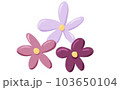 purple flower  103650104