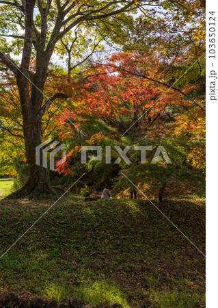 秋晴れの遊歩道から観える景色 「紅葉に映える用作公園(ゆうじゃくこうえん)」「大分県豊後大野市」 秋晴れの遊歩道から観える景色 「紅葉に映える用作公園(ゆうじゃくこうえん)」「大分県豊後大野市」 103650124