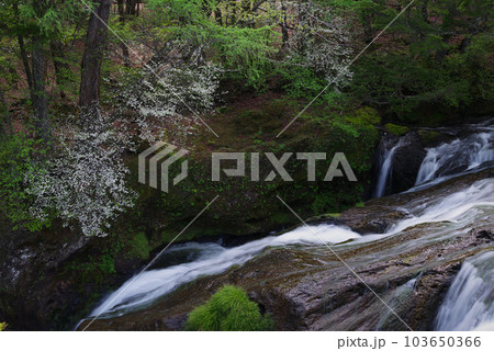 竜頭ノ滝【栃木県日光市】 103650366