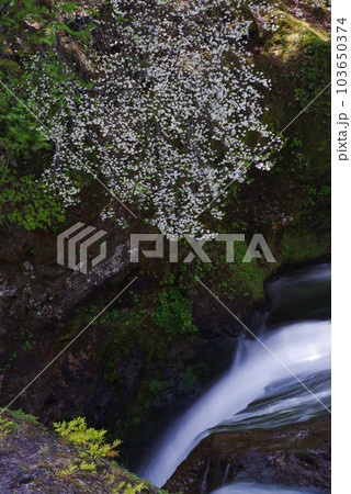 竜頭ノ滝【栃木県日光市】 103650374