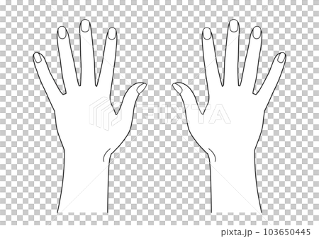 人體部位白色手指指甲雙手手背線條畫透明png背景透明 103650445