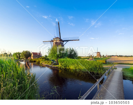 Famous Dutch wooden windmills. Summer evening countryside.Colorful outdoor scene Netherlands Famous Dutch wooden windmills. Summer evening countryside.Colorful outdoor scene Netherlands 103650503