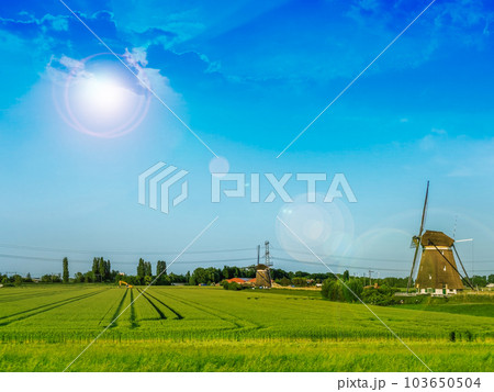 Famous Dutch wooden windmills. Summer evening countryside.Colorful outdoor scene Netherlands 103650504