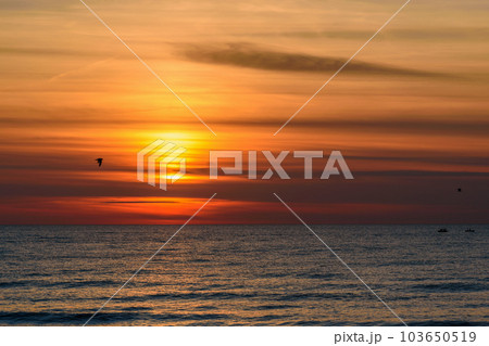Spectacular bright golden sunset over Baltic sea Spectacular bright golden sunset over Baltic sea 103650519
