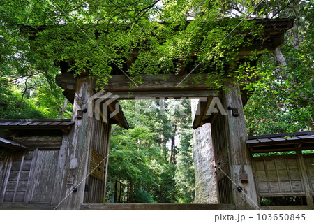 飯高寺 総門 千葉県匝瑳市飯高 飯高寺 総門 千葉県匝瑳市飯高 103650845