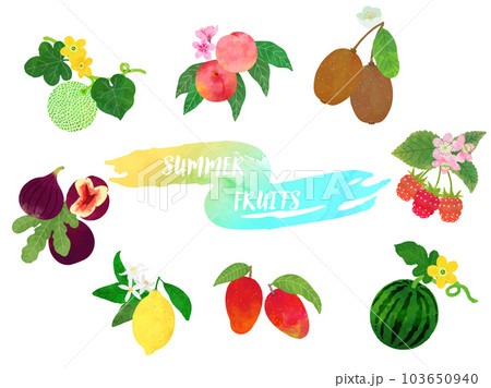 水彩風の夏のフルーツイラストセット 水彩風の夏のフルーツイラストセット 103650940