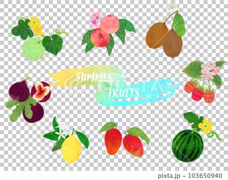 Summer fruit illustration set in watercolor style 103650940