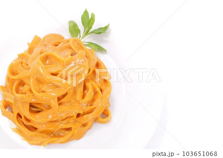 海老風味のトマトクリームソース 幅広麺のパスタ 明るい背景 海老風味のトマトクリームソース 幅広麺のパスタ 明るい背景 103651068
