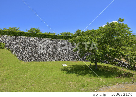 静岡県掛川市　国史跡　横須賀城　本丸南側 103652170