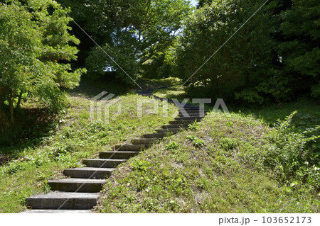 静岡県掛川市　国史跡　横須賀城　松尾山への階段 103652173