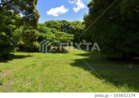 静岡県掛川市　国史跡　横須賀城　松尾山山頂 103652174